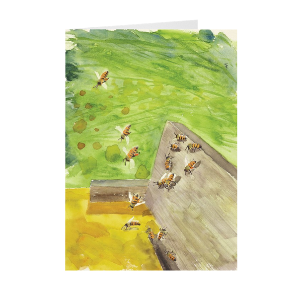 Box of 10 Note Cards - "A Walk Among the Wildflowers"