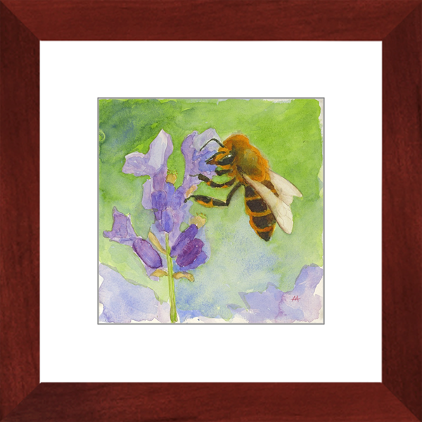Framed Art Print - "Honeybee on Lavender"