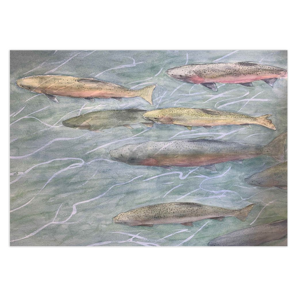 Box of 10 Note Cards - "Steelhead Trout"