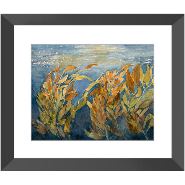 Framed Art Print - "Kelp Forest"