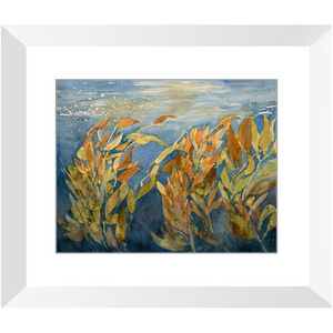 Framed Art Print - "Kelp Forest"