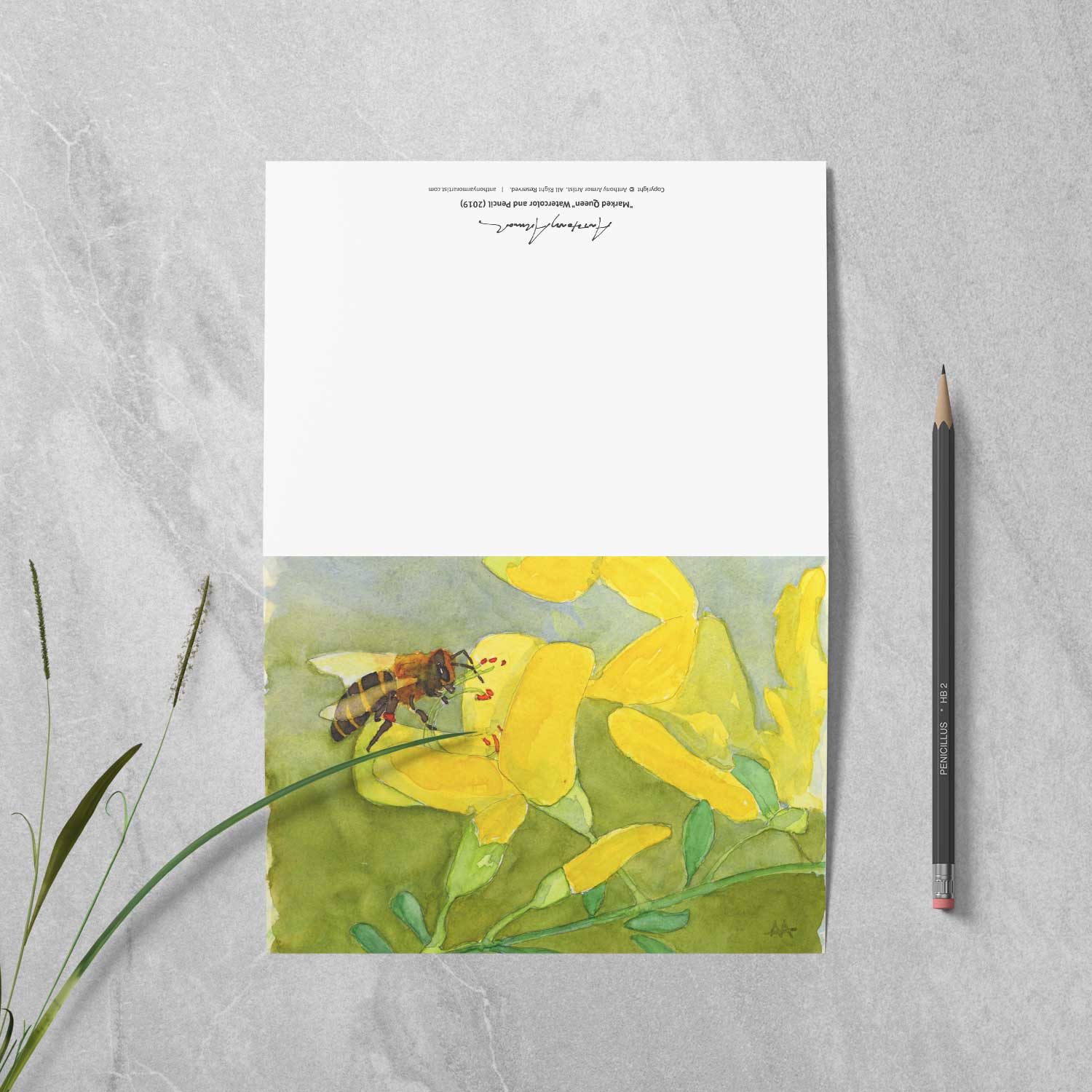 Box of 10 Note Cards - "Honeybee on Scotch Broom"
