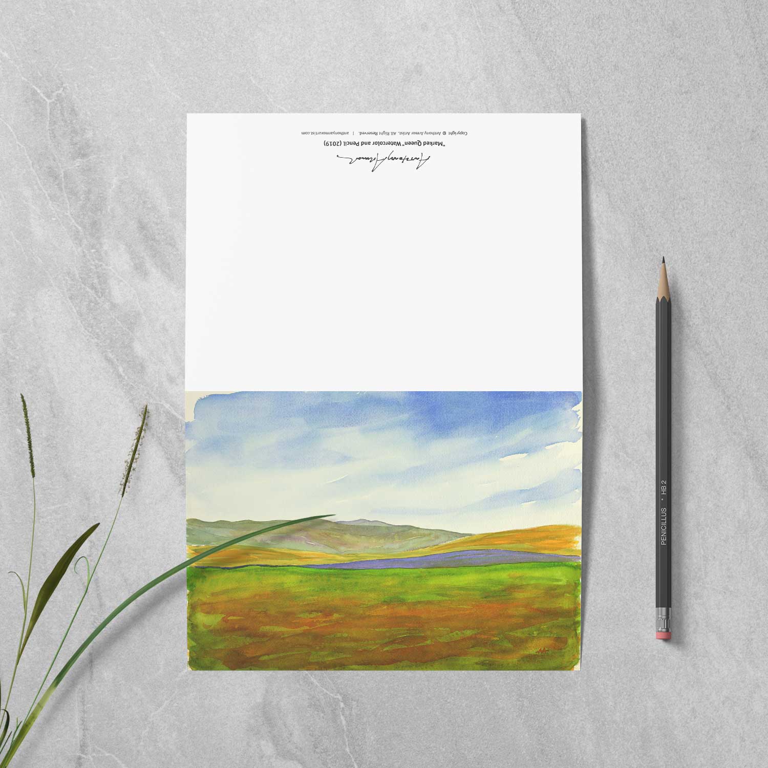 Box of 10 Note Cards - "Super Bloom Number One, Carrizo Plain"