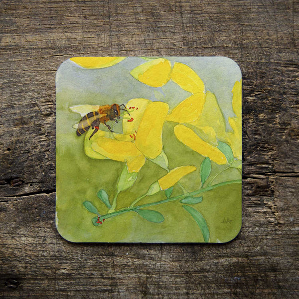 Coasters - "Water Conservation" Art Series